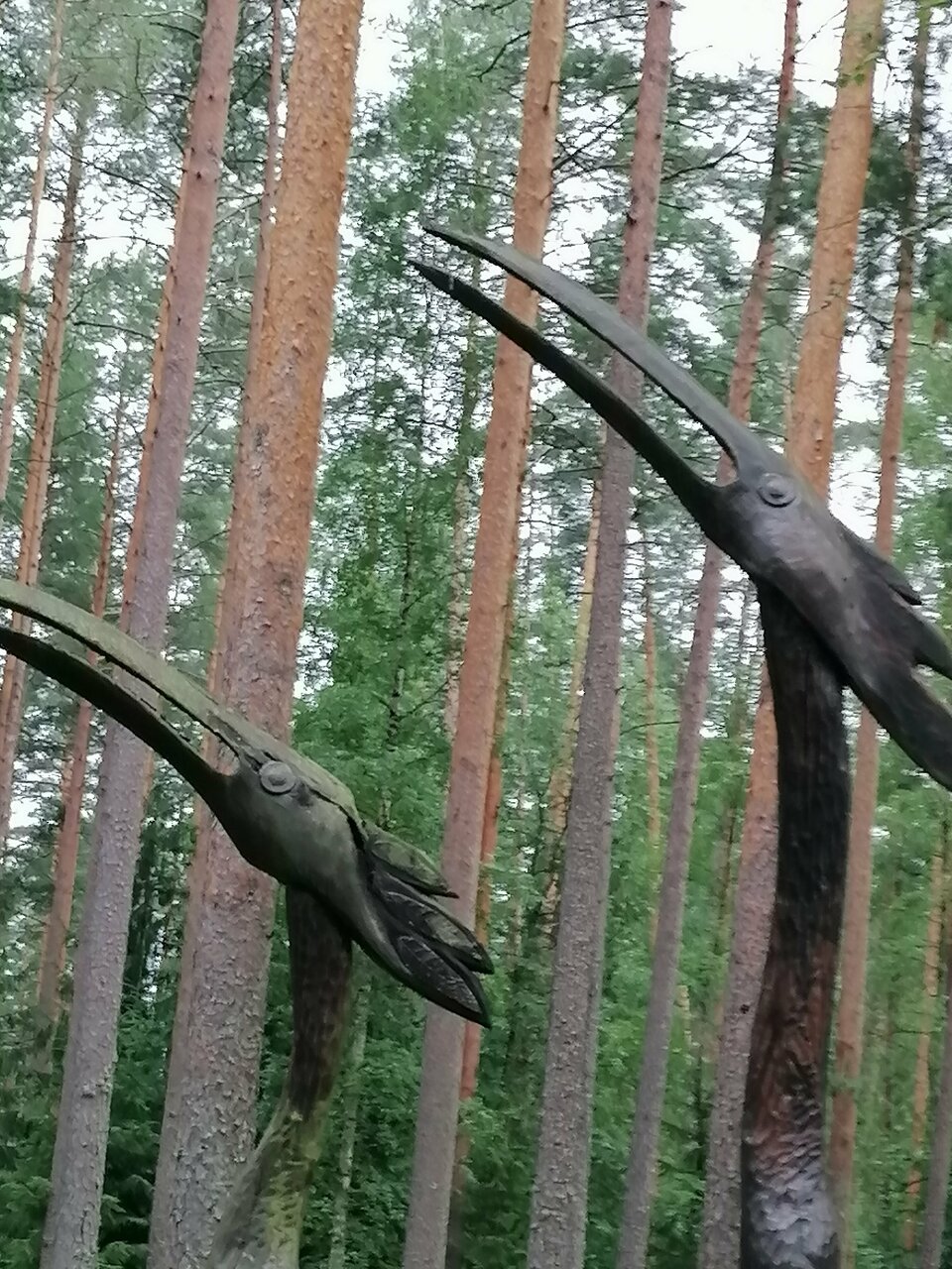 Гостиница Райвола Рощино-123