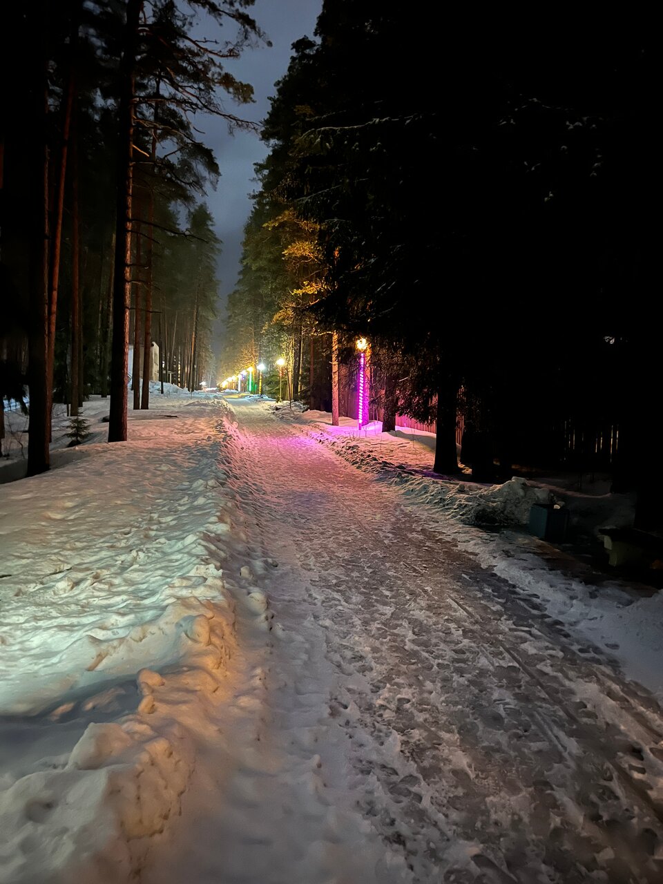 Гостиница Райвола Рощино-88