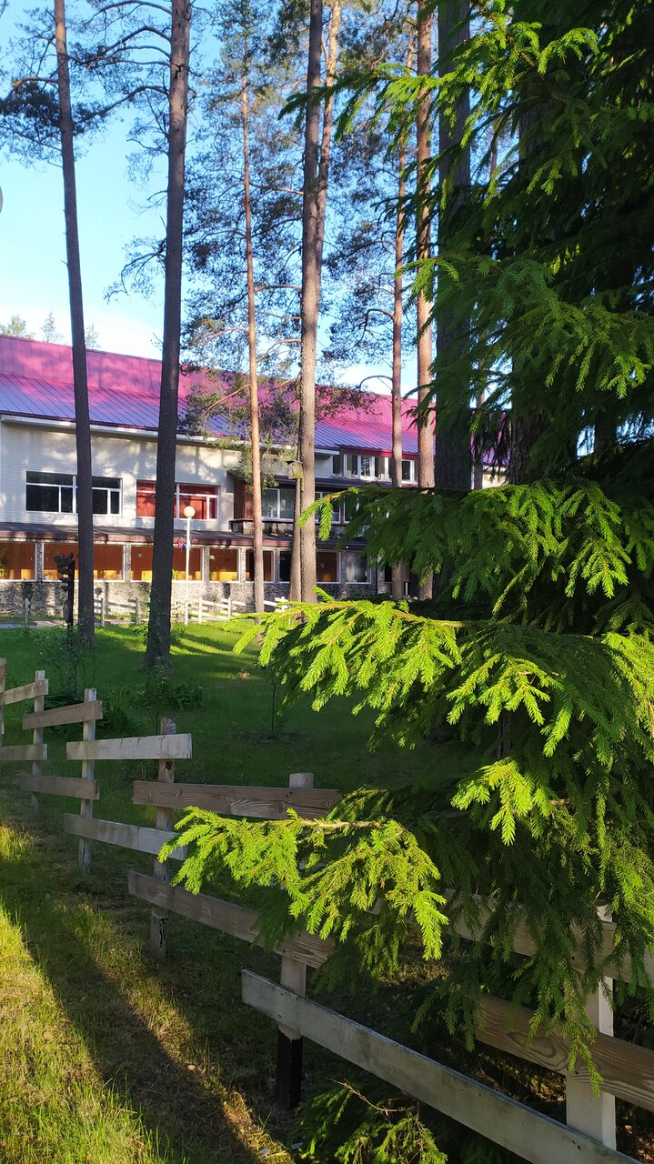 Гостиница Райвола Рощино-198