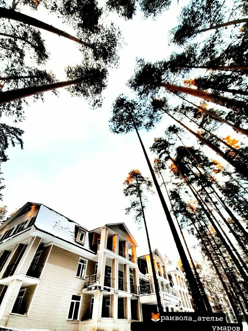 Гостиница Райвола Рощино-172