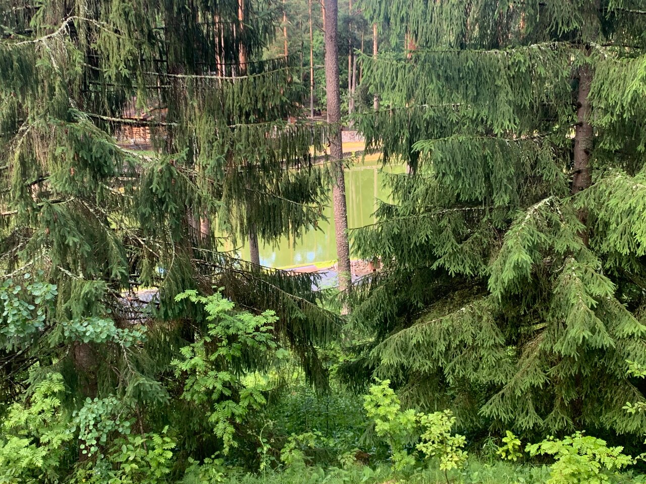 Гостиница Райвола Рощино-174