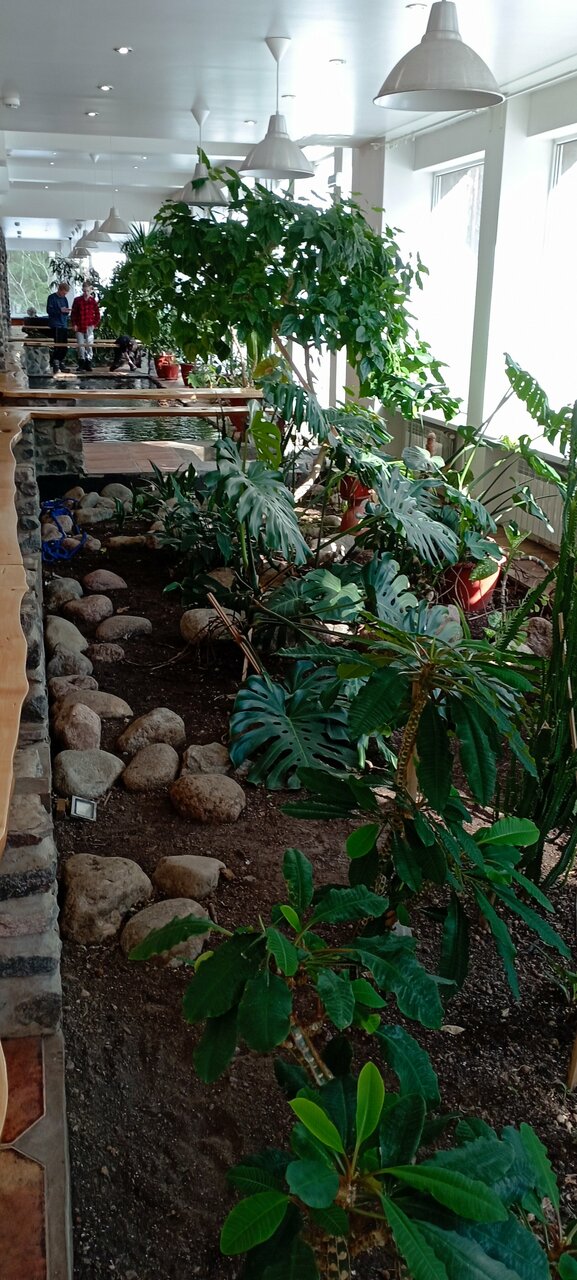 Гостиница Райвола Рощино-235