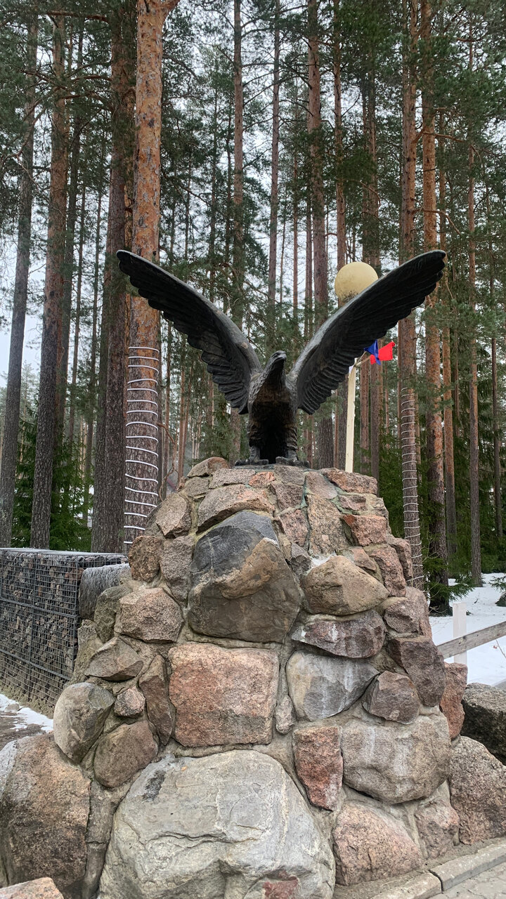 Гостиница Райвола Рощино-251