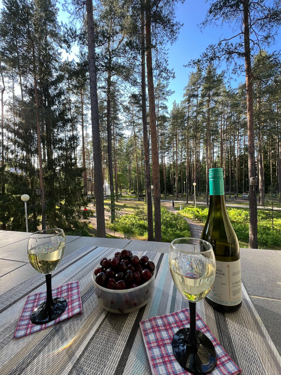 Гостиница Райвола Рощино-74