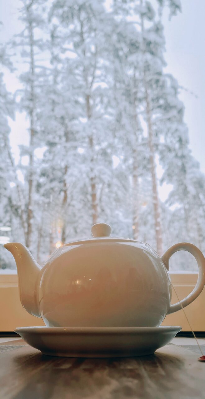 Гостиница Райвола Рощино-201