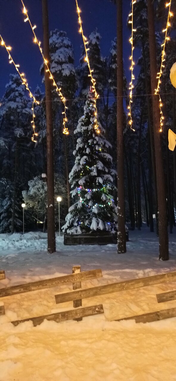 Гостиница Райвола Рощино-229