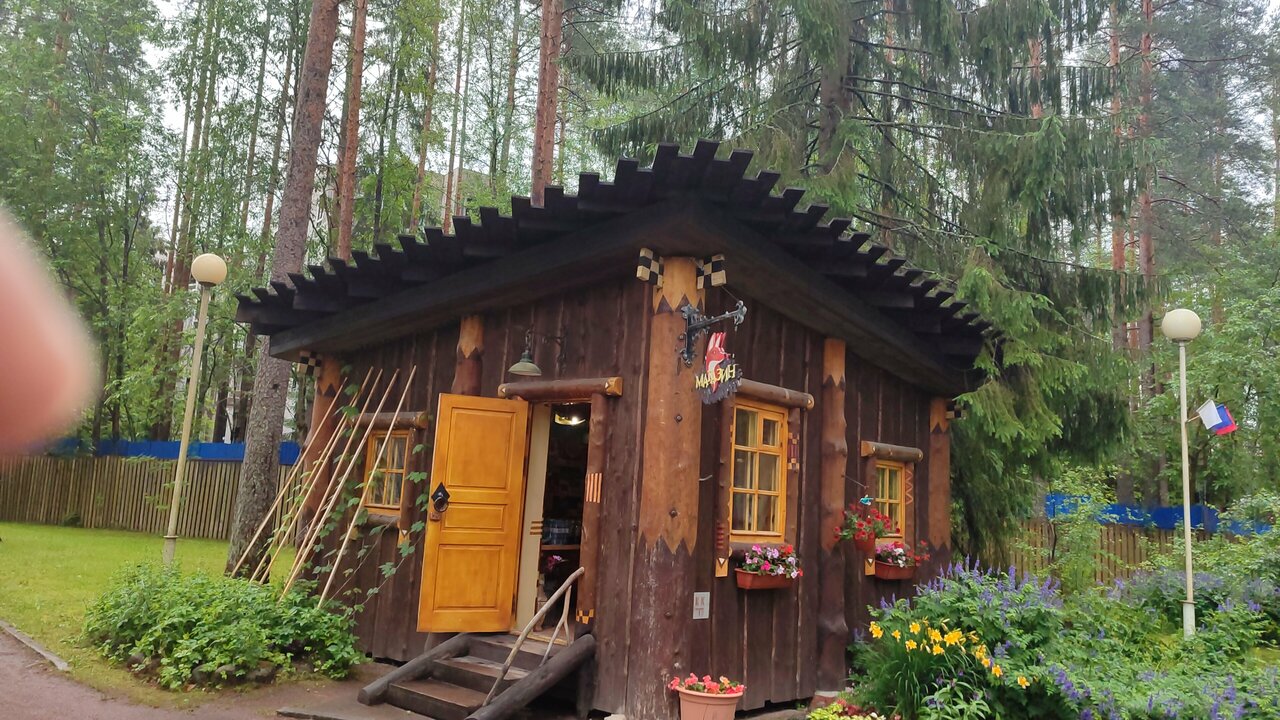 Гостиница Райвола Рощино-78