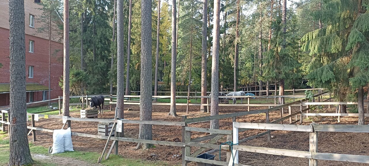 Гостиница Райвола Рощино-234