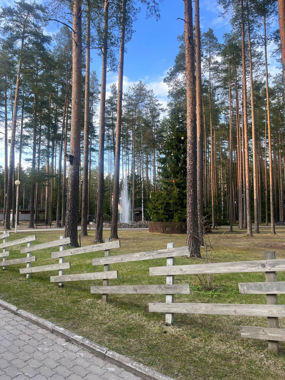 Гостиница Райвола Рощино-250