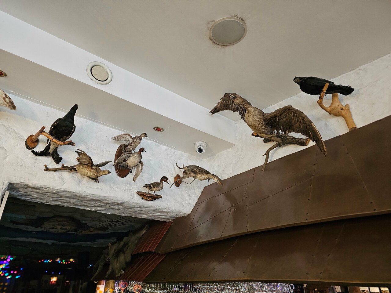 Гостиница Райвола Рощино-192