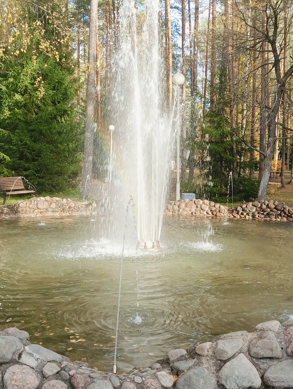 Гостиница Райвола Рощино-195