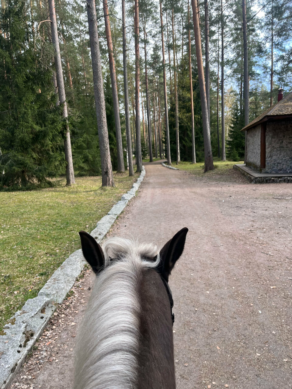 Гостиница Райвола Рощино-126