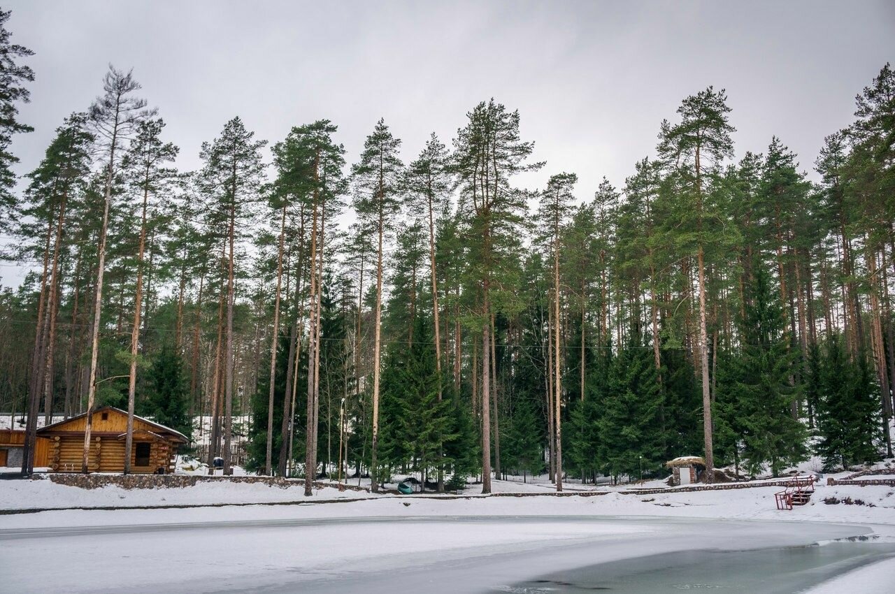 Гостиница Райвола Рощино-9