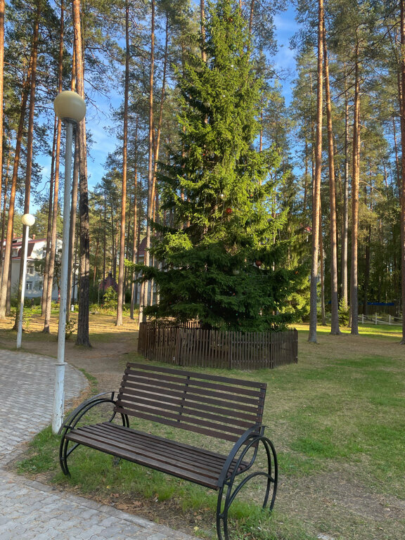 Гостиница Райвола Рощино-193