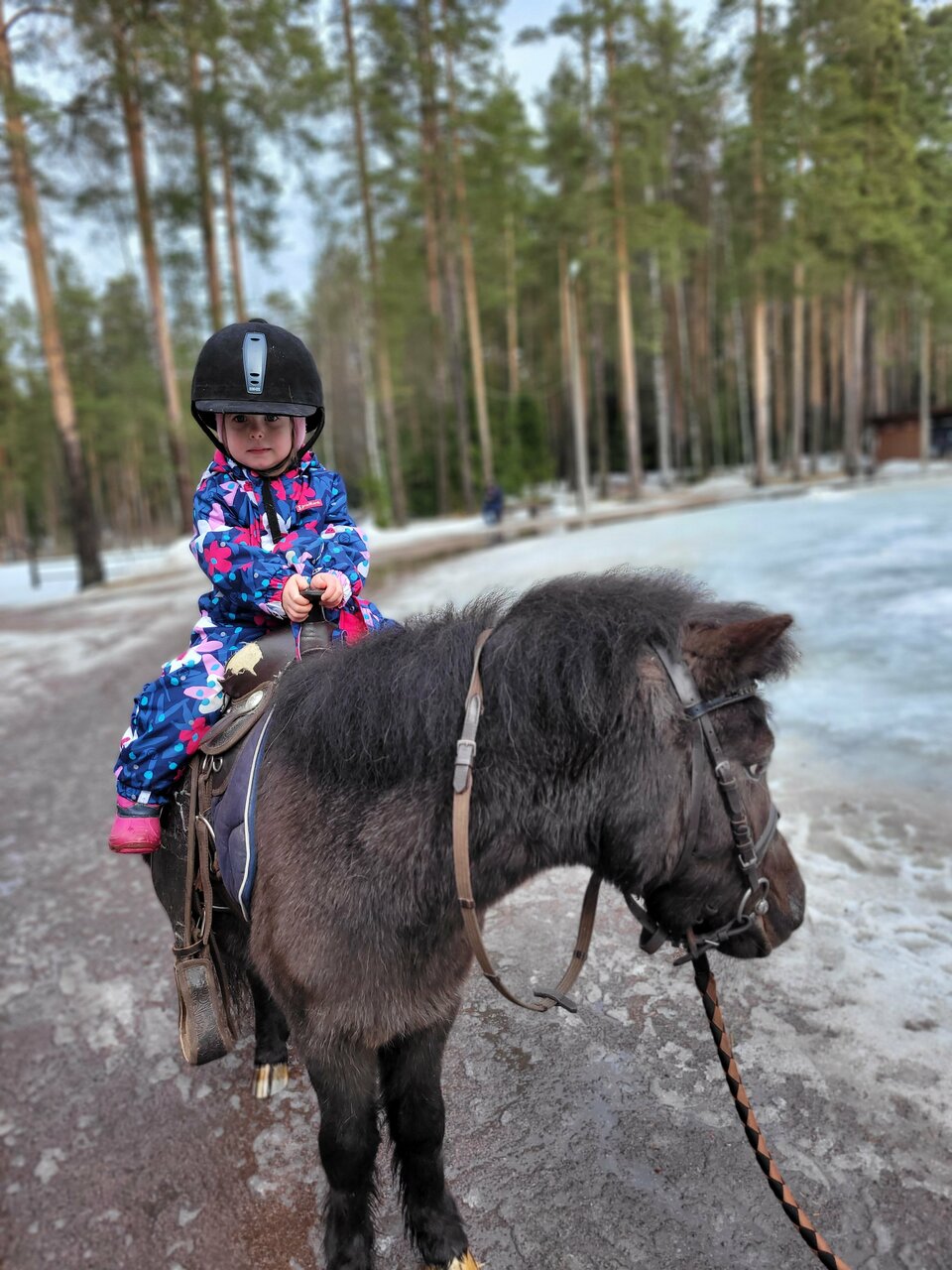 Гостиница Райвола Рощино-203