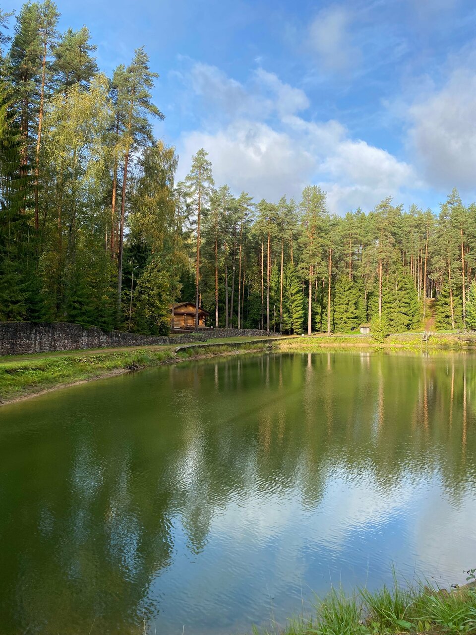 Гостиница Райвола Рощино-65