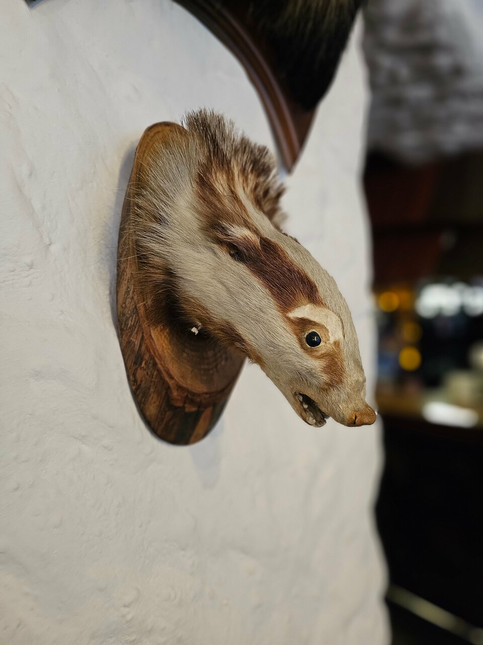 Гостиница Райвола Рощино-156