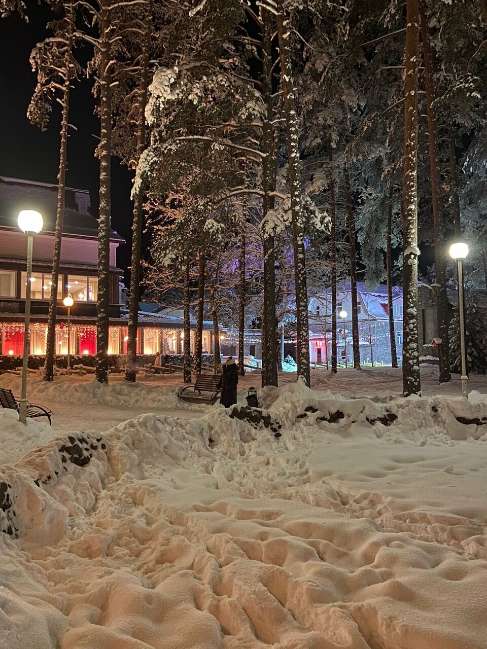 Гостиница Райвола Рощино-175