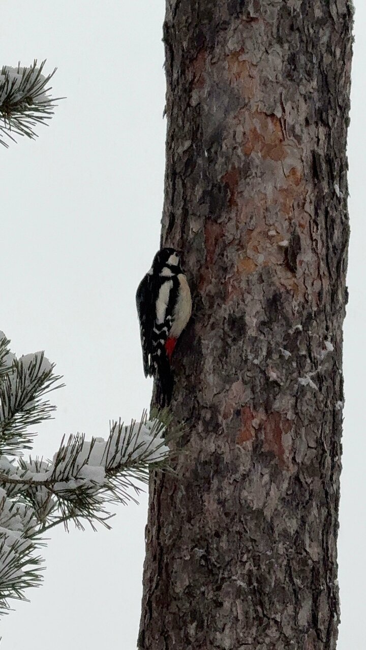 Гостиница Райвола Рощино-197