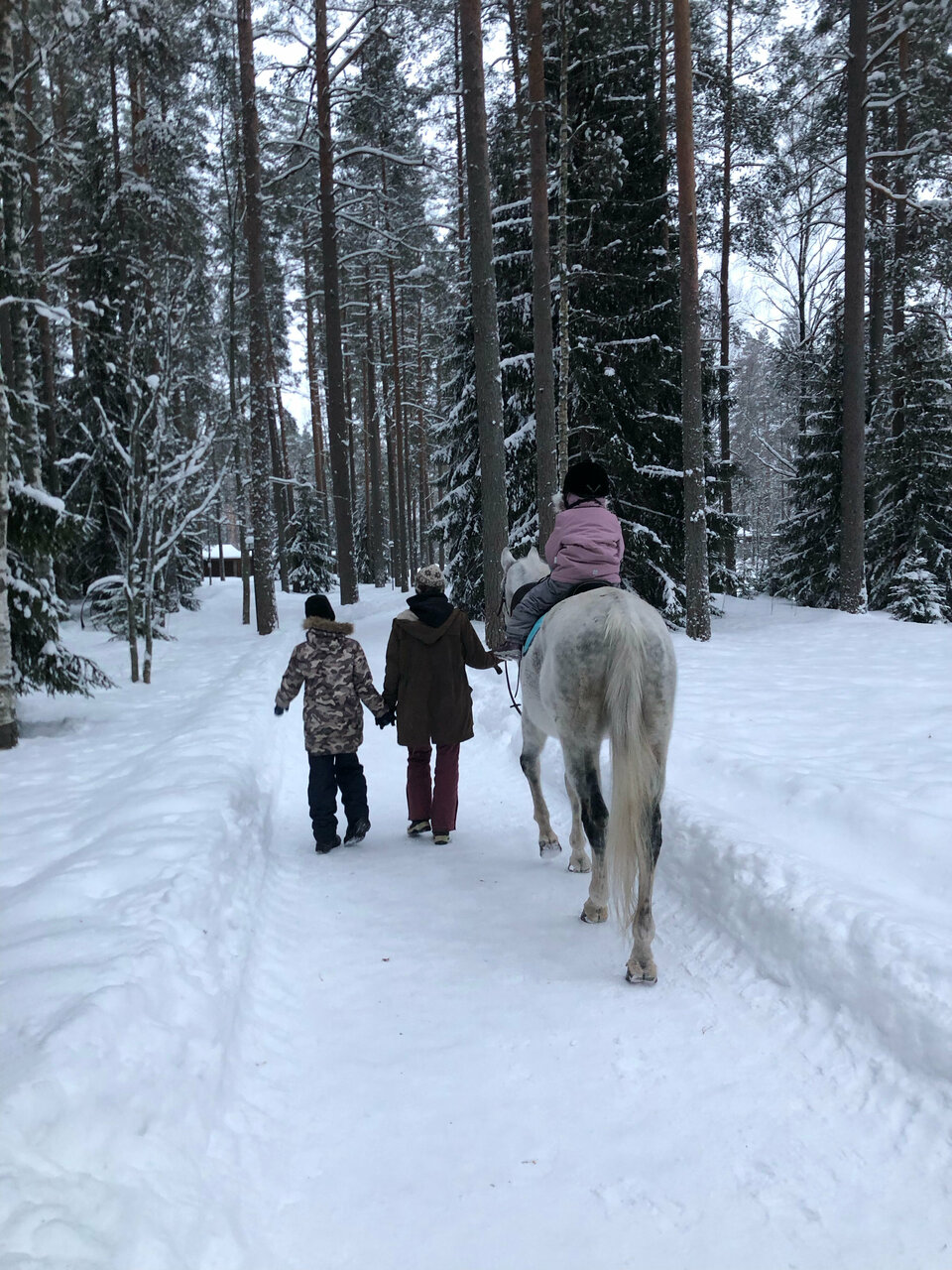 Гостиница Райвола Рощино-148