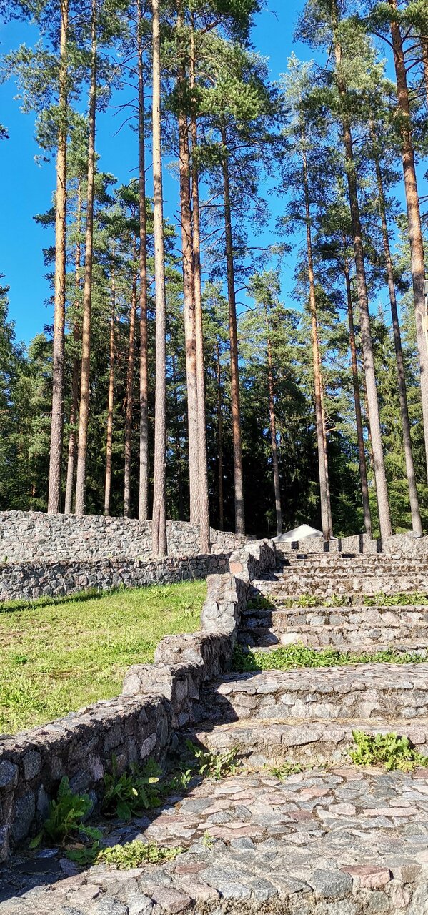 Гостиница Райвола Рощино-131