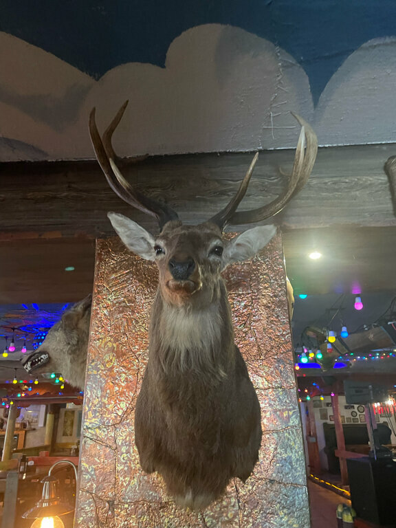 Гостиница Райвола Рощино-84