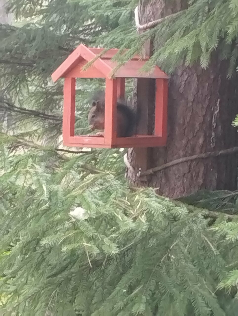 Гостиница Райвола Рощино-127