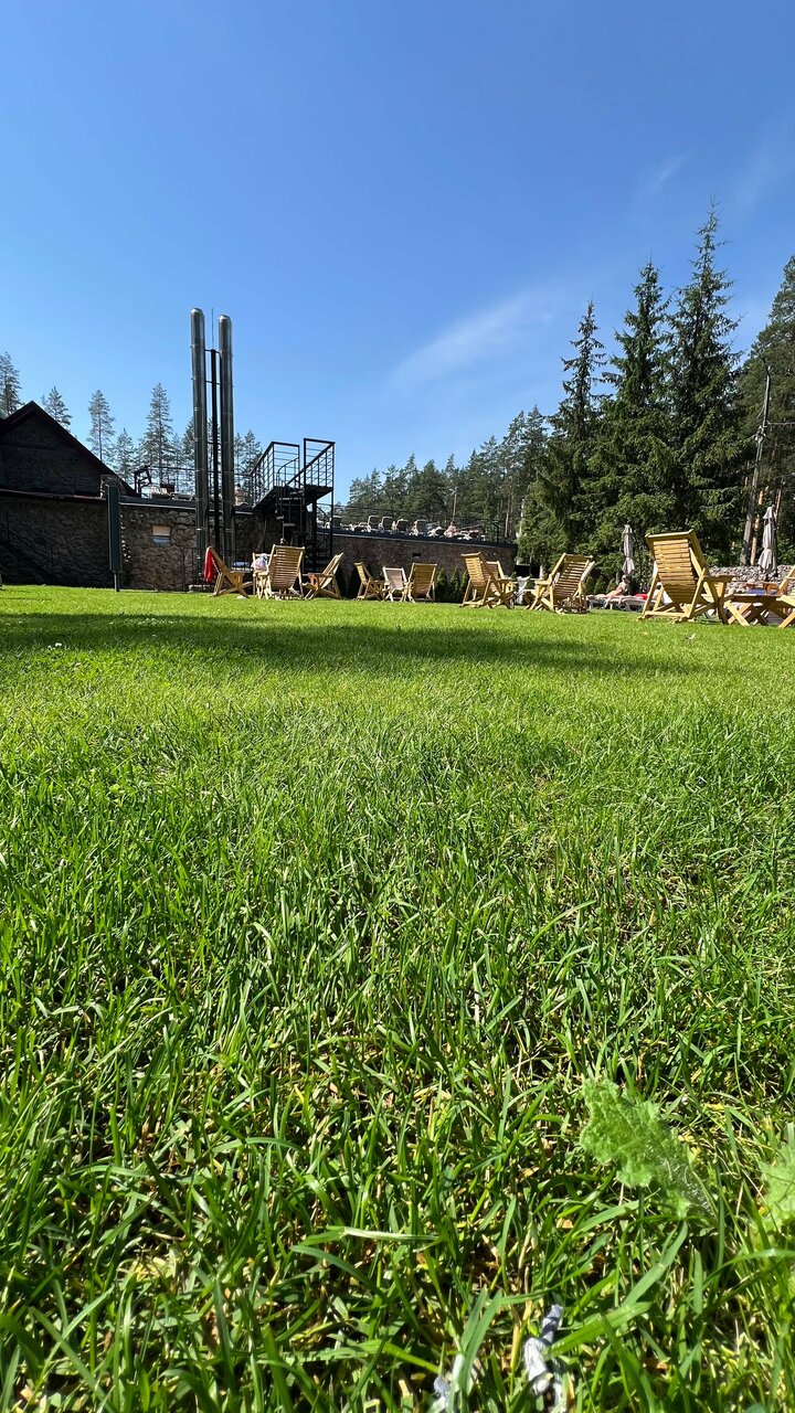 Гостиница Райвола Рощино-121