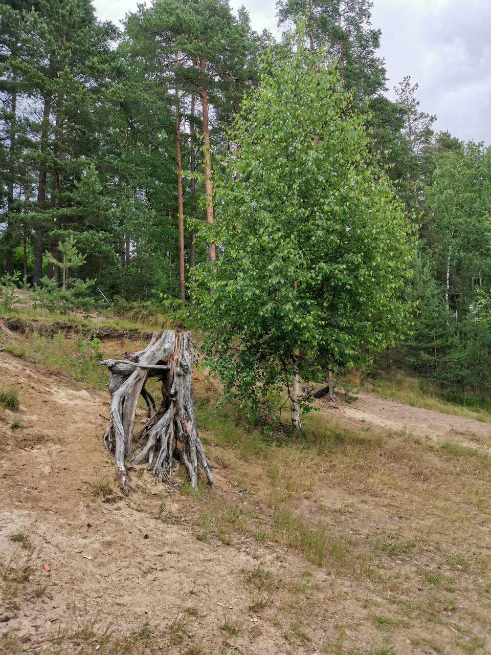 Гостиница Райвола Рощино-135