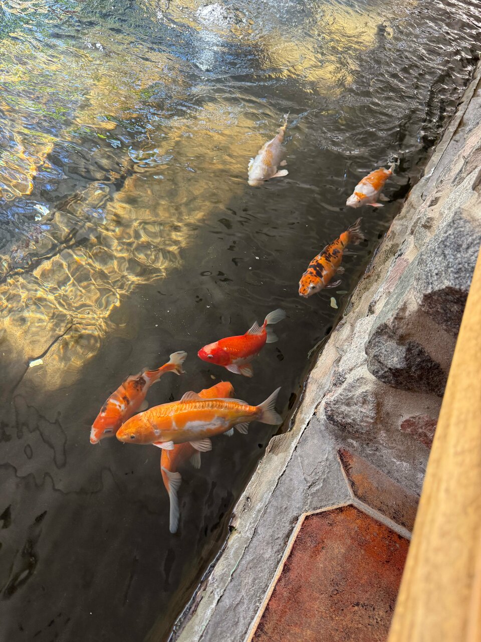 Гостиница Райвола Рощино-97