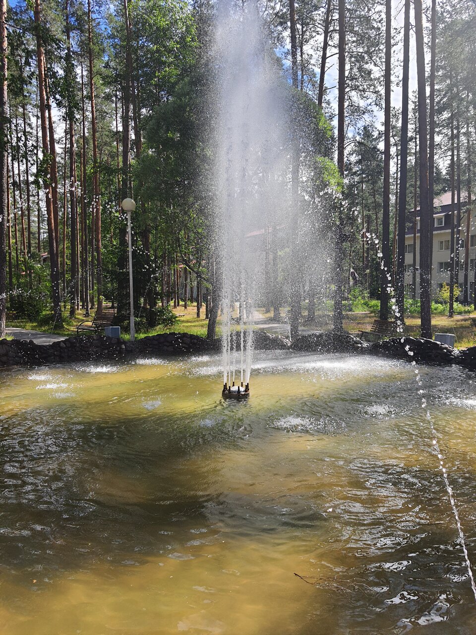 Гостиница Райвола Рощино-111