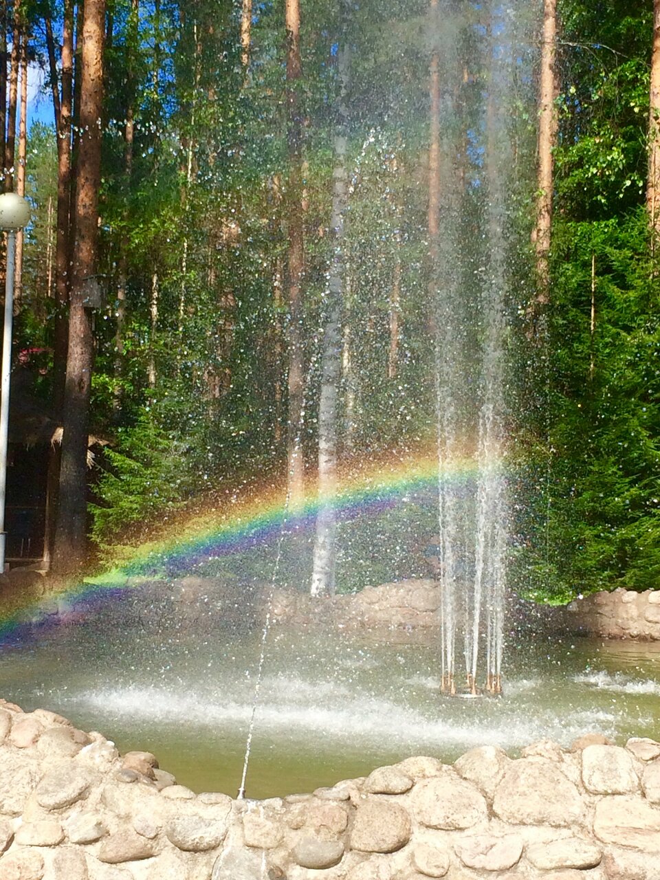 Гостиница Райвола Рощино-89