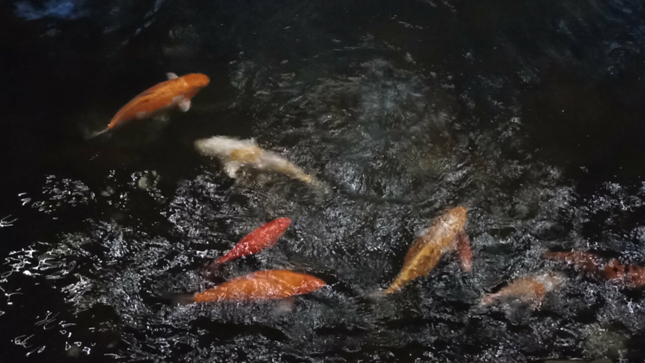 Гостиница Райвола Рощино-241