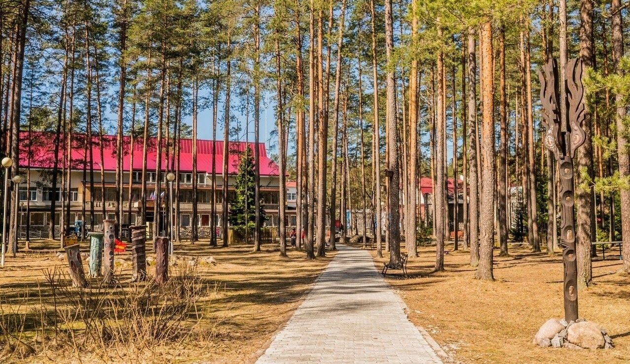 Гостиница Райвола Рощино-4