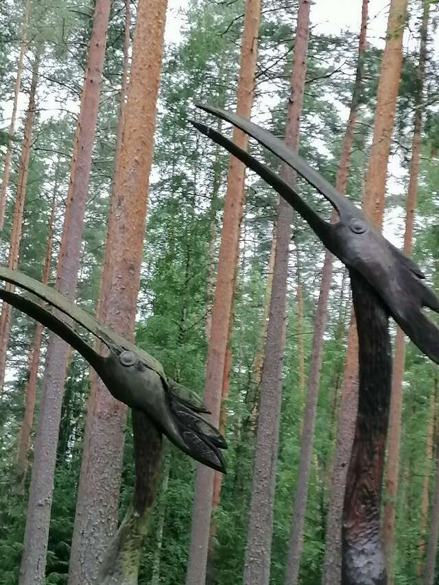 Гостиница Райвола Рощино-122