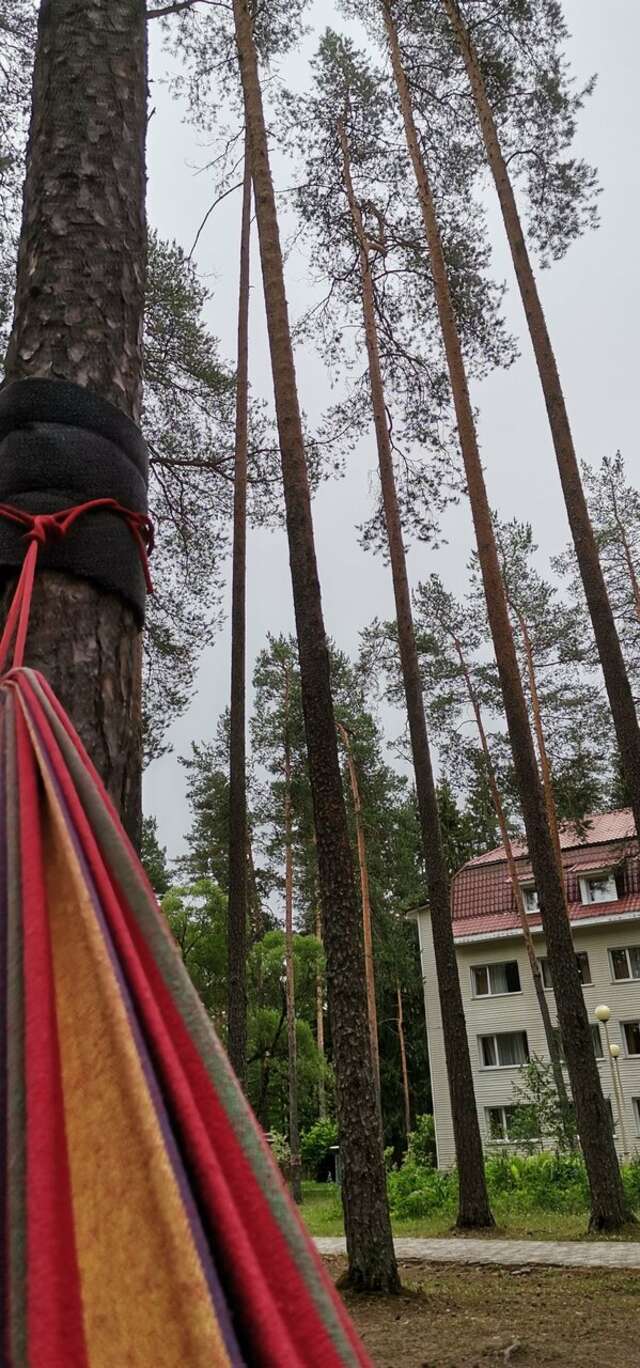 Гостиница Райвола Рощино-93