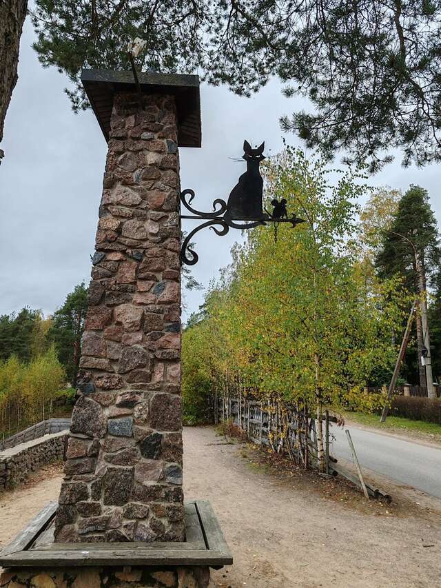 Гостиница Райвола Рощино-65