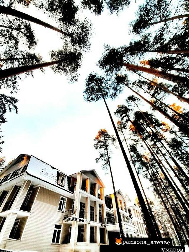 Гостиница Райвола Рощино-171