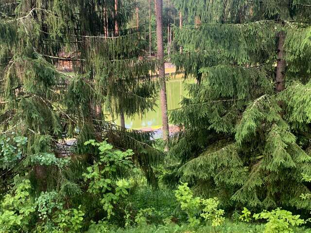 Гостиница Райвола Рощино-173