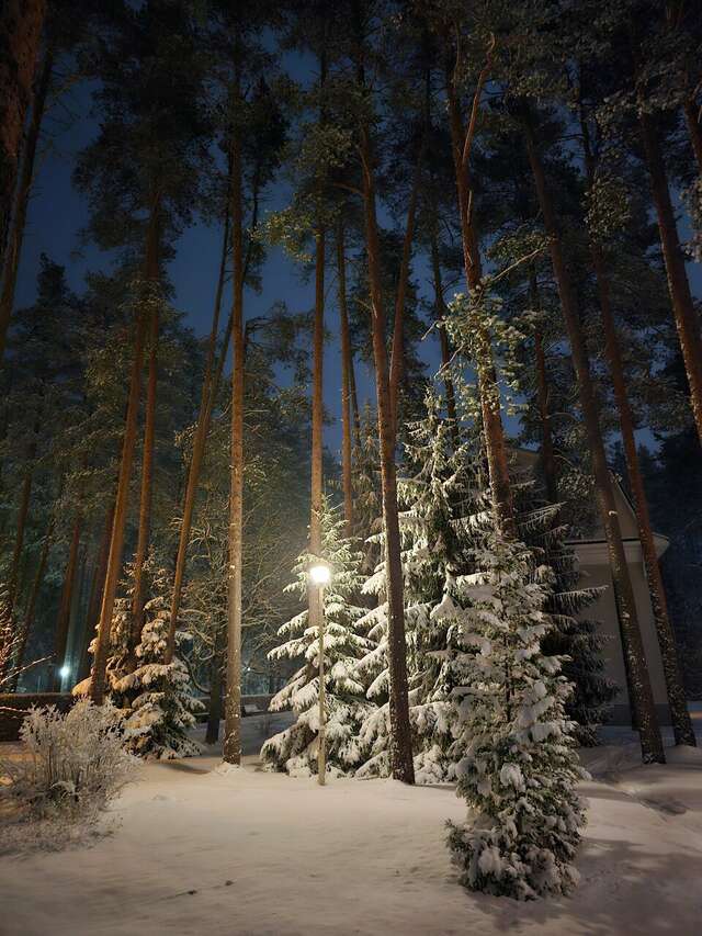 Гостиница Райвола Рощино-157
