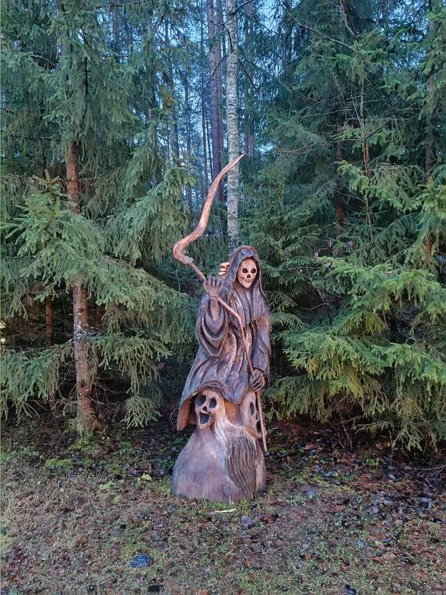 Гостиница Райвола Рощино-107