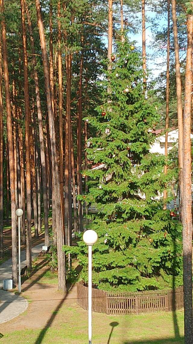 Гостиница Райвола Рощино-68