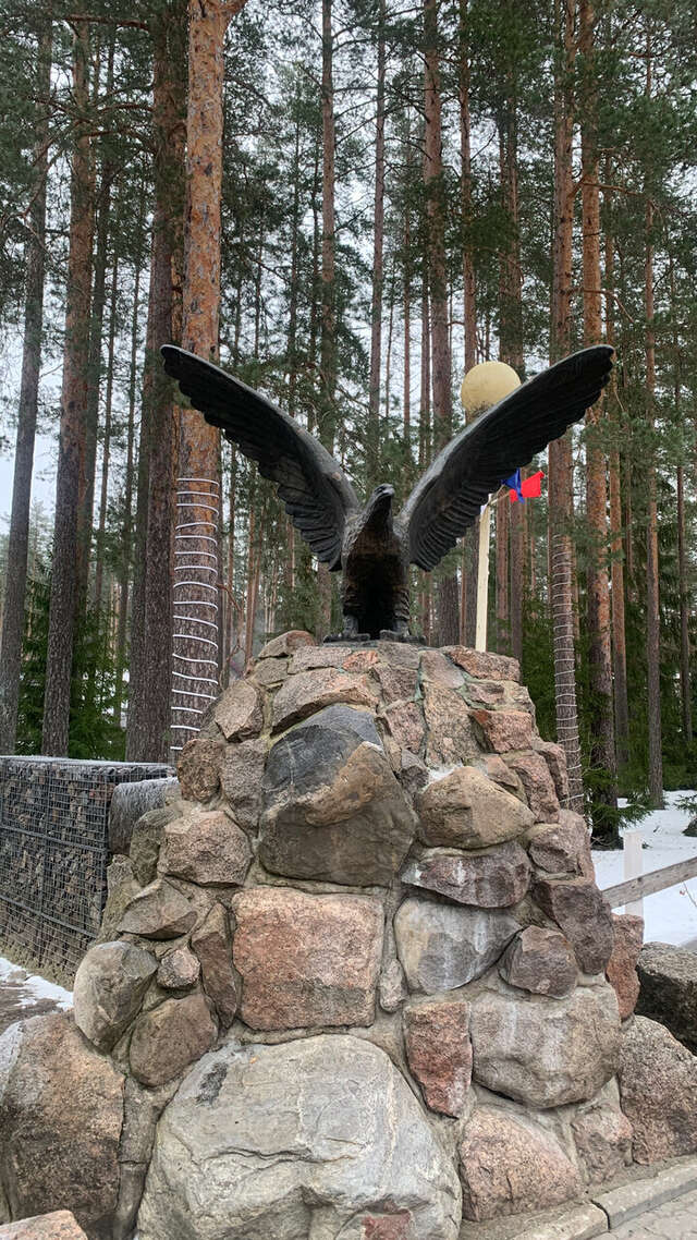 Гостиница Райвола Рощино-250