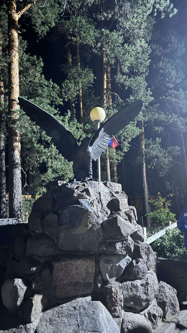 Гостиница Райвола Рощино-95