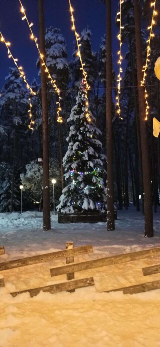 Гостиница Райвола Рощино-228