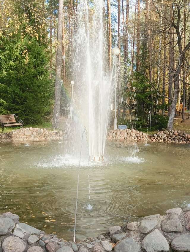 Гостиница Райвола Рощино-194