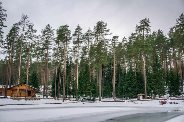 Гостиница Райвола Рощино-8