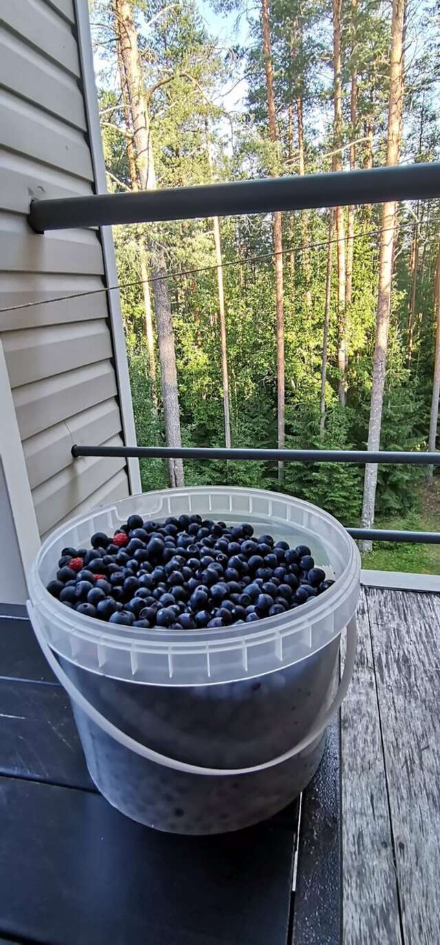 Гостиница Райвола Рощино-214