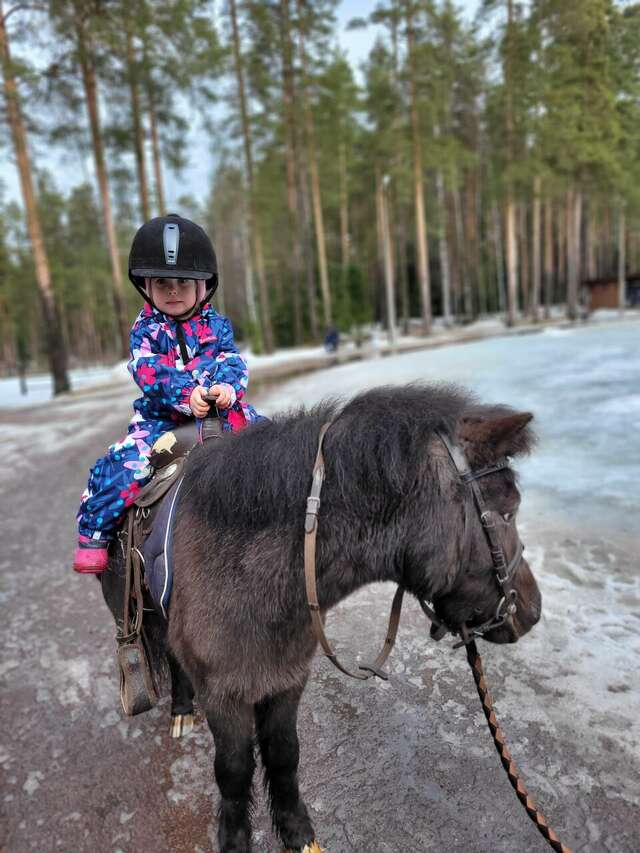Гостиница Райвола Рощино-202