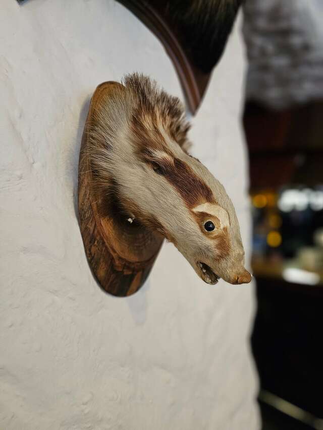 Гостиница Райвола Рощино-155